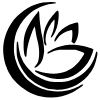 provider-user